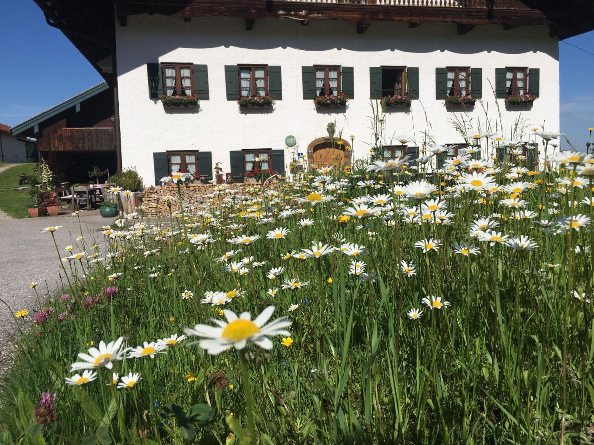 Stadlerhof Frasdorf Exterior photo